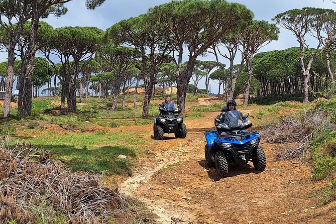 70 Minutes Private ATV Tour in Lebanon - What animals and migrating birds can add to your ride