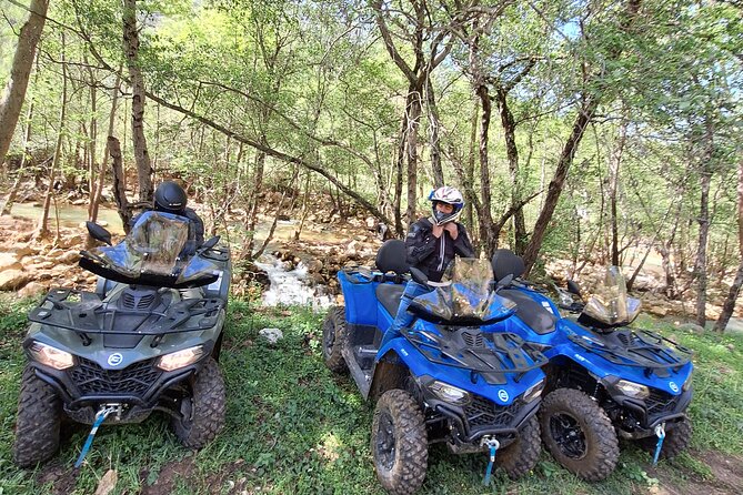 70 Minutes Private ATV Tour in Lebanon - The Daqqoun ride: pine and oak trees, plus mountain and sea views