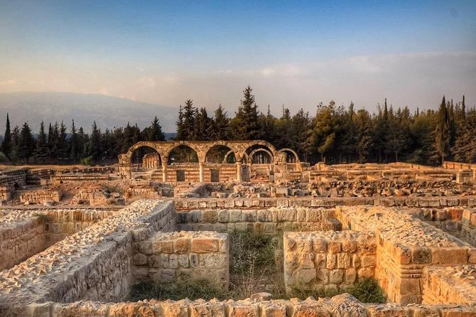Baalbek, Anjar & Wine: A Journey Through Lebanon's Heritage - A Well-Paced Day: Temples, Legends, And A Bekaa Tasting