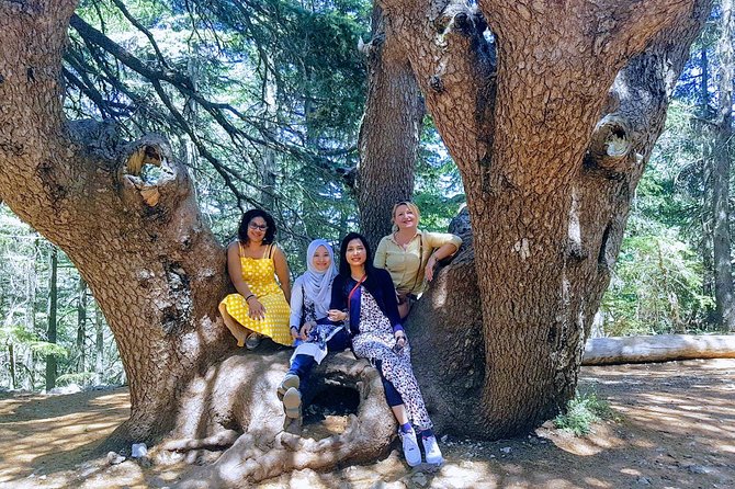 Beirut to Qadisha Valley, Bcharri & Cedar: Daily Tours with Lunch - Cedars of God: 375 Trees, Biblical Mentions, and Lebanon’s Flag