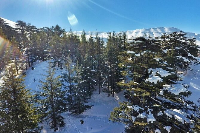 Cedars of Lebanon, Qozhaya, & Bcharre - With Lunch (4G on Board) - What you’re really paying for: value at $95 per person