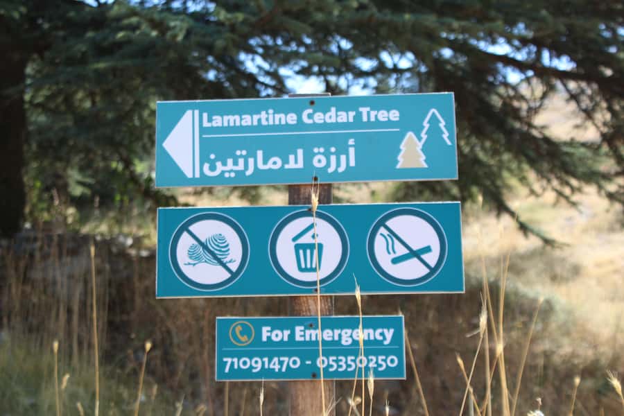 Cedars Shouf & Beiteddine w/pick-up, guide, entries+lunch - Key things that make this tour worth your time