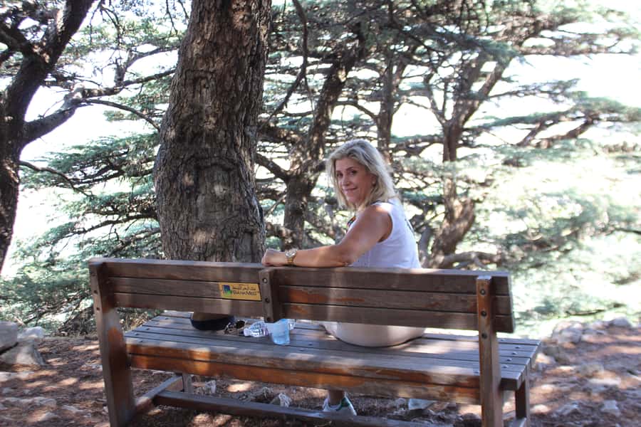 Cedars Shouf & Beiteddine w/pick-up, guide, entries+lunch - Al Shouf Cedars, Deir el Qamar, and Beiteddine, the 7-hour hit list that actually flows