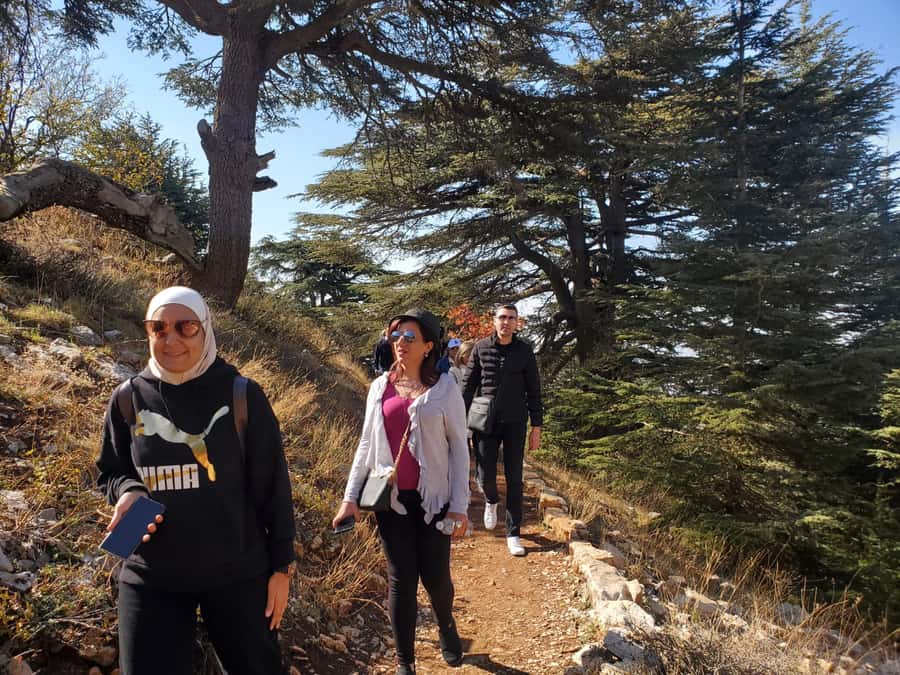 Cedars Shouf & Beiteddine w/pick-up, guide, entries+lunch - Lunch in a mountain town: mezze and grills that keep the day moving