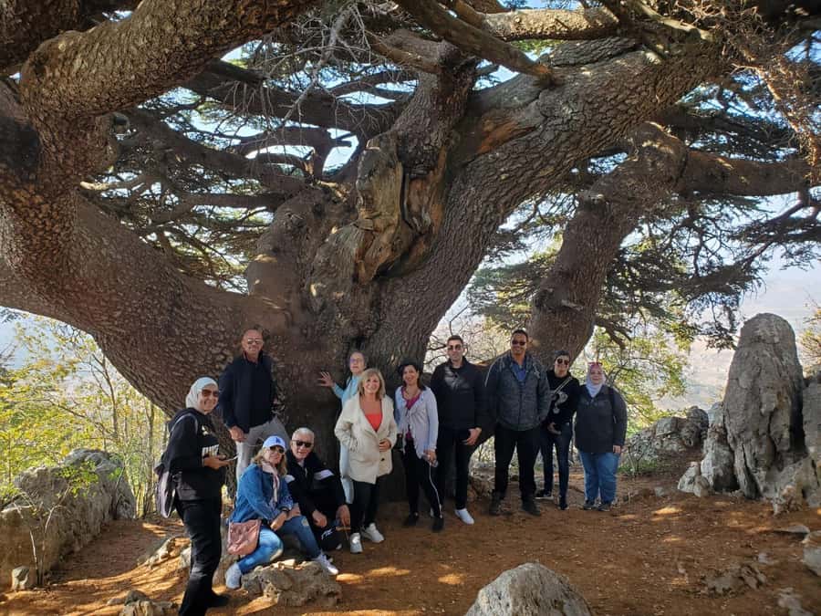 Cedars Shouf & Beiteddine w/pick-up, guide, entries+lunch - Who should book this, and who should think twice