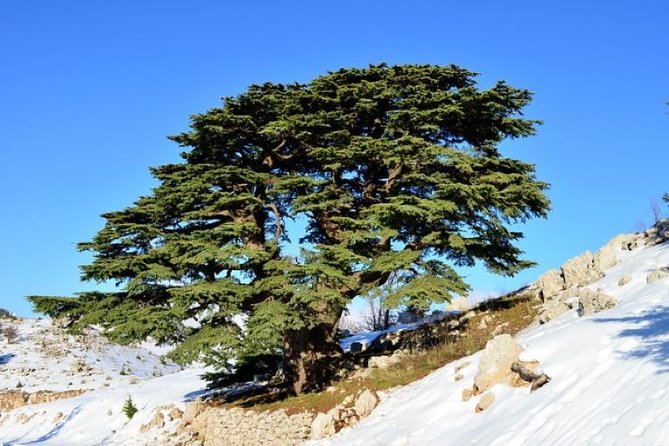 Chouf Charm: Private Journey Through Lebanon's Historic Heartland - Deir el Qamar: Monastery of the Moon in miniature