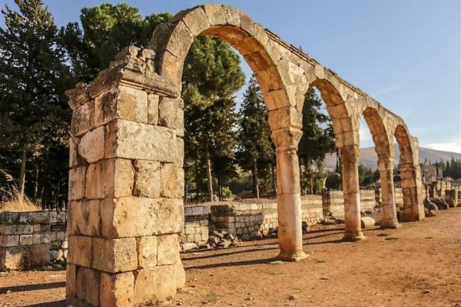 Exclusive Excursion: Discover Baalbek, Anjar, and Chateau Ksara - Umayyad Aanjar: reading an inland city built at crossroads