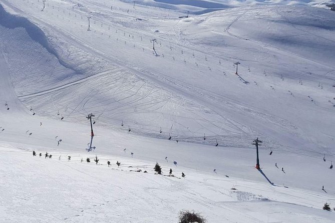 Faraya Ski Resort Lebanon - After-Ski Energy: Bars and Restaurants With More Than One Mood