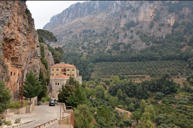 Full-Day Guided Tour of Northern Lebanon with Hotel Pickup - The Cedars of God Walk: Ancient Trees, Simple Footsteps, Big Meaning