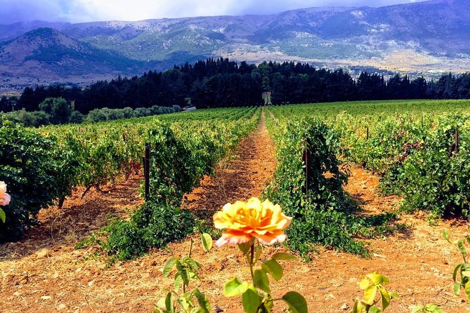 Full-Day Private Wine Tasting Tour - From Beirut to Zahle: Why This Day Feels Worth the Time