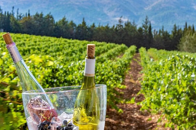 Full-Day Private Wine Tasting Tour - Value for $104.17 Per Person: When Private Feels Smart