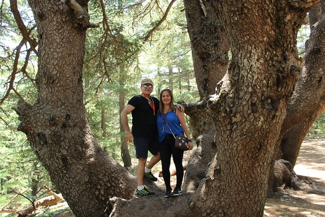 Guided small group to Cedars Reserve & Beiteddine w/lunch+entries - Shouf Cedars Reserve: Cedar Forests, Gorges, and 3 Hours Outside