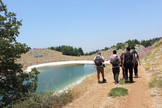 Guided small group to Cedars Reserve & Beiteddine w/lunch+entries - What to Expect On the Ground: Walk Time, Food, and Weather