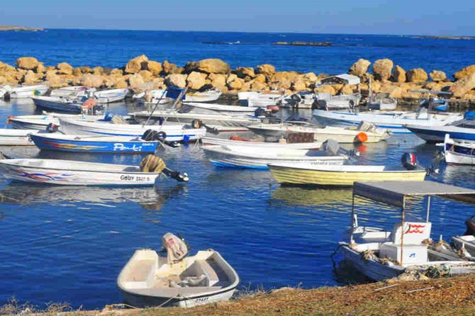 Guided Small-Group Tour to Tripoli and Batroun with Lunch - Key things that make this tour work