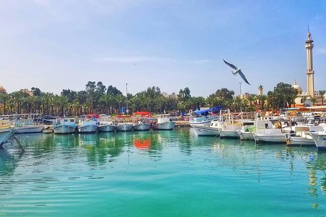Guided Small-Group Tour to Tripoli and Batroun with Lunch - Souk Al-Harajb and the Tripoli souks: more than shopping