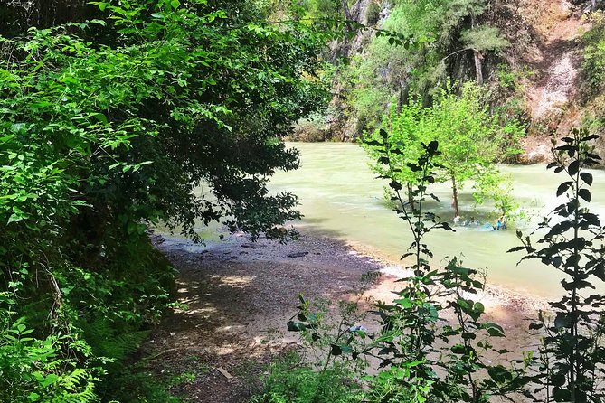 Hike Chouwen - Lunch on Your Own at the Top, Then Back to Beirut