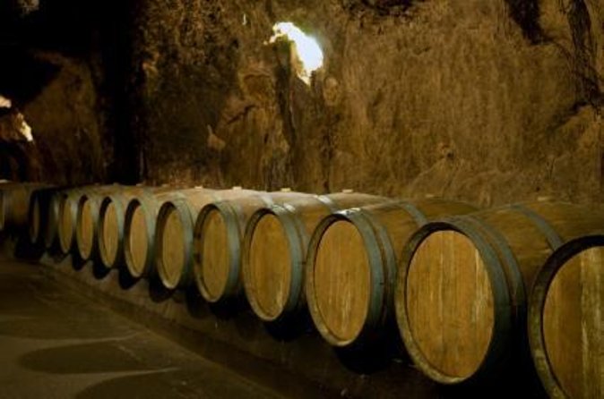 Journey Through Lebanese Wine: A Private Tour in the Beqaa Valley - Key things that make this Beqaa wine tour work