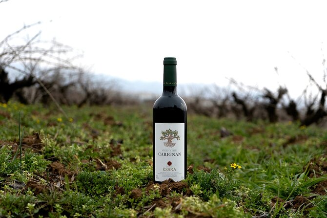 Journey Through Lebanese Wine: A Private Tour in the Beqaa Valley - Leaving Beirut for the Beqaa Valley, the comfortable way