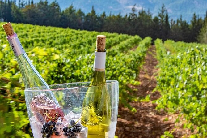 Journey Through Lebanese Wine: A Private Tour in the Beqaa Valley - Should you book this private Beqaa wine tour from Beirut?