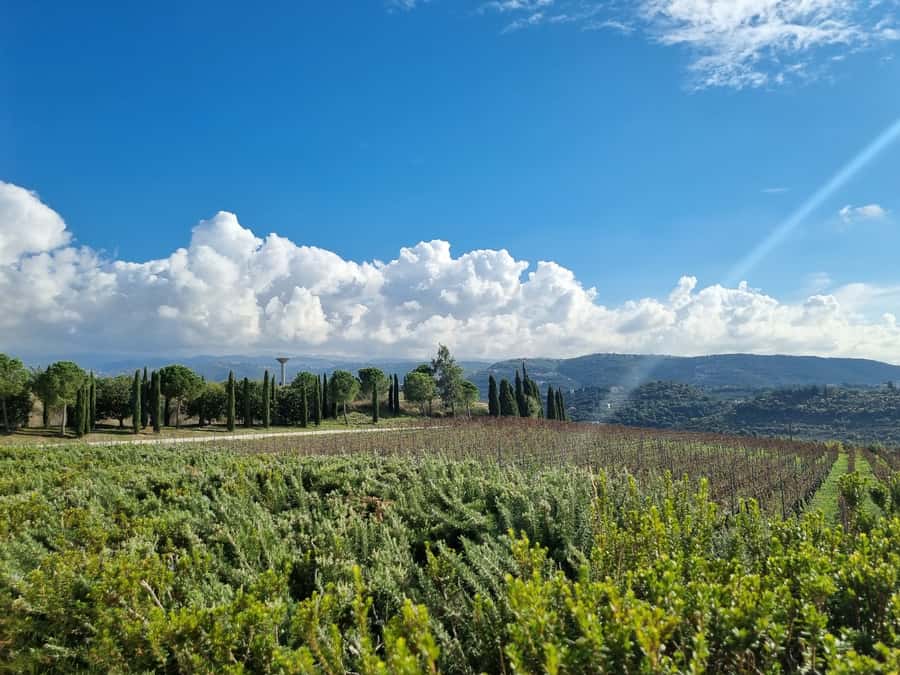 Lebanese wineries guided tour with tastings & lunch - The Bekaa Valley is Lebanon’s wine engine