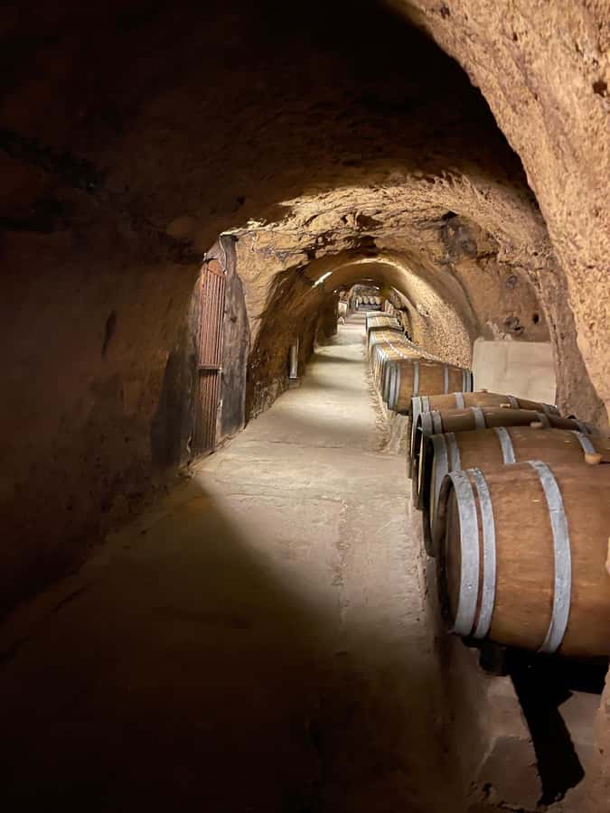Lebanese wineries guided tour with tastings & lunch - Price and value: is $140 a good deal?