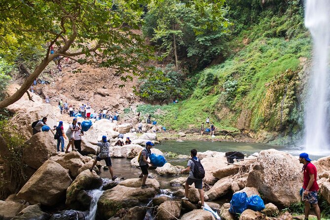 Lebanon Waterfalls Tour - Transport, group size, and what $85 buys you