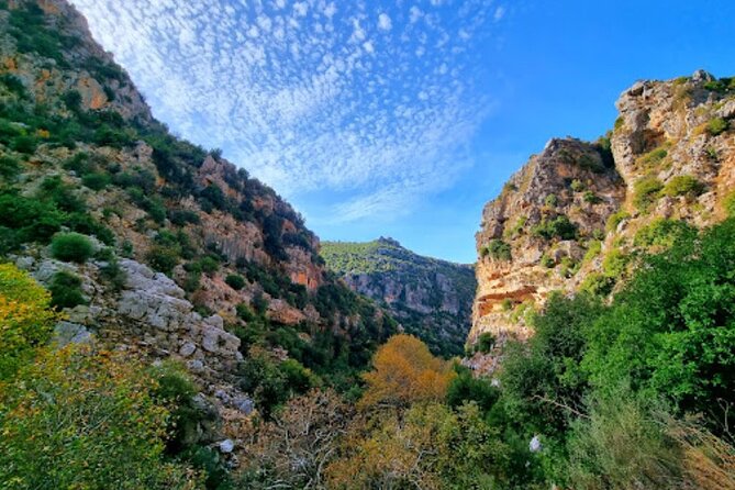 Lebanon Waterfalls Tour - Practical booking and what to expect on the day