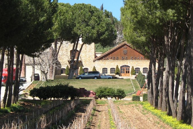 Lebanon Wine Tasting Tour From Beirut - Stop 3: Chateau Rayak and the Traditional-Modern Production Story