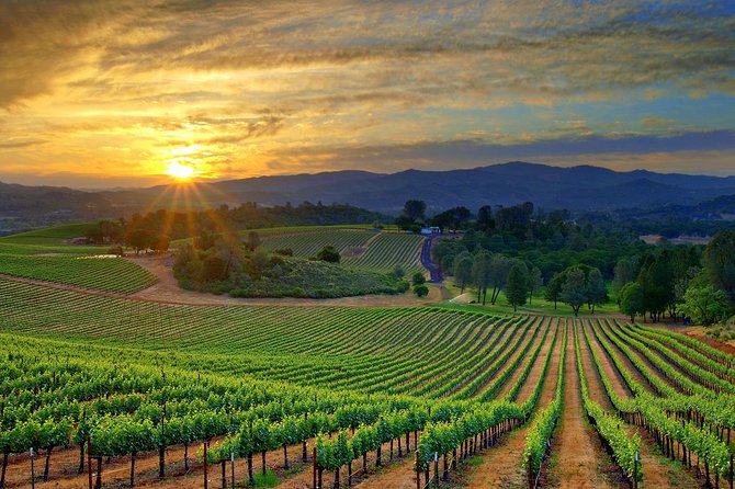 Lebanon Wine Tasting Tour From Beirut - What Included Wine Tastings Cover, and How to Taste Smart
