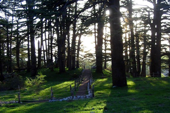 PRIVATE Tour to Cedars of God, Besharre & Qozhaya Valley - Quick Hits If You Want the Highlights First