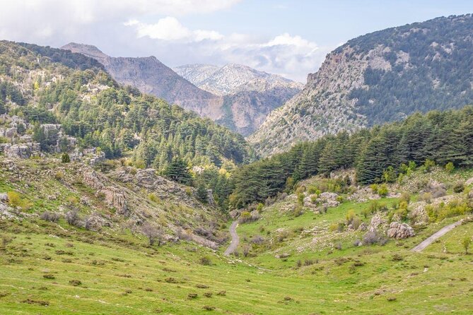 PRIVATE Tour to Cedars of God, Besharre & Qozhaya Valley - Who This Tour Suits Best