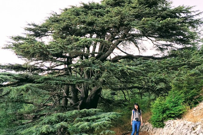 Private Trip to Beiteddine, Deir el Qamar & Maaser el Chouf Cedars - Key highlights worth getting excited about