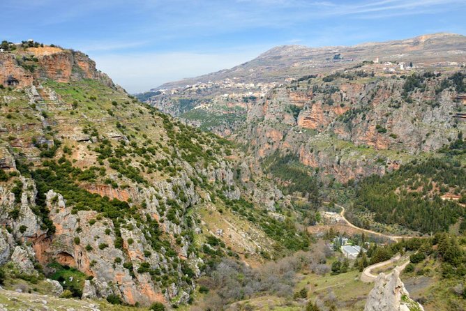 Private Trip to Qadisha Valley, Bcharri and Cedars of God - Cedars of God forest: 375 trees and a Bible-linked story