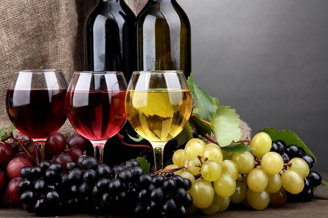 PRIVATE Wine Tasting Tour to the Bekaa Valey Fabulous Wineries - Beirut pickup and a designated-driver vibe