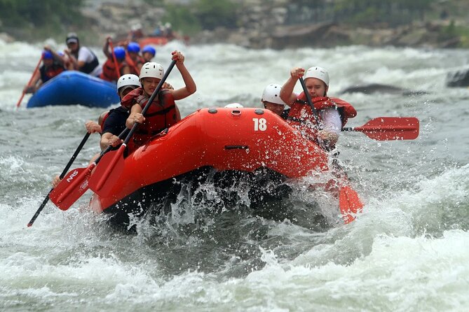 Rafting Activity From Beirut, Lebanon - Price and logistics from Beirut at 7:30 am