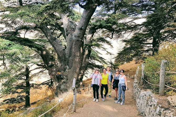 Small-Group Tour with Lunch to Qadisha Valley, Bcharre and Cedars - Key Highlights at a Glance