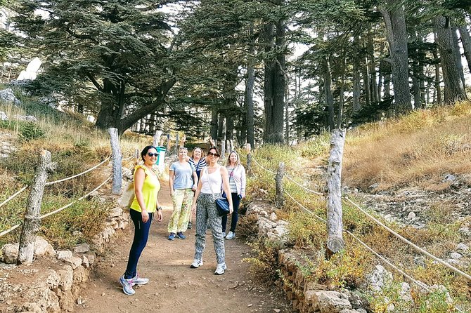 Small-Group Tour with Lunch to Qadisha Valley, Bcharre and Cedars - Price and value: what $60 buys you in a full day