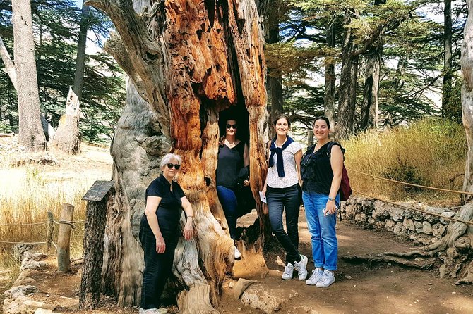 Small-Group Tour with Lunch to Qadisha Valley, Bcharre and Cedars - From Beirut to Mount Lebanon in an A/C van
