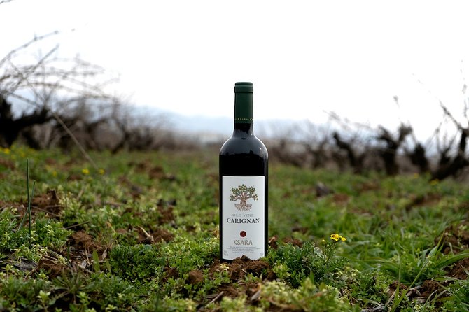 Wine Tasting and Culture - Price and value: what $100 buys in real terms